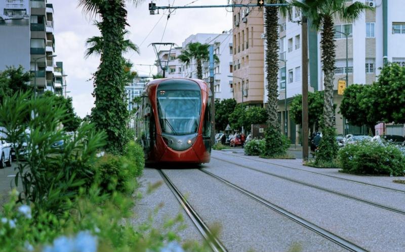 City avenue with tramway, poles and street furniture
